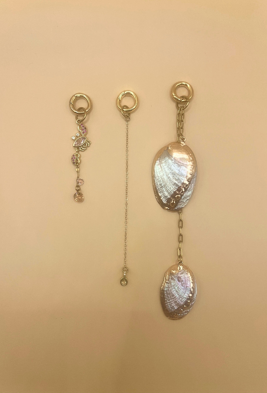 VAI_charms_en_T